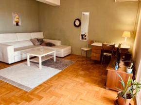 Cozy apartment near the city center